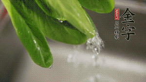 燒一鍋開水，滴一點(diǎn)油，水開后汆燙青菜至斷生即可。